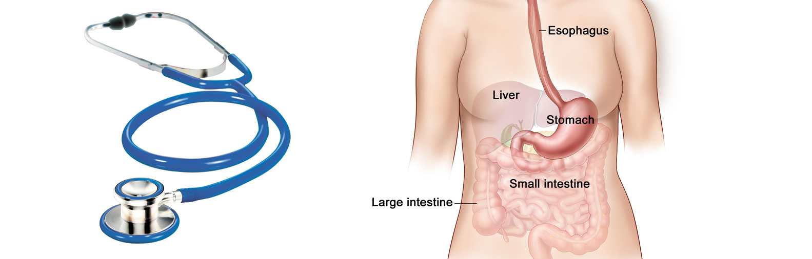 Gastro Surgeon in Ahmedabad, Gastro Surgeon in Gujarat